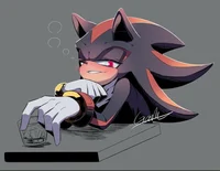 SHADOW T HEDGEHOG 