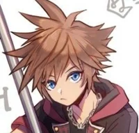 Sora