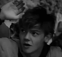 01 newt - tmr