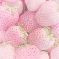 70 A Red-Black flags