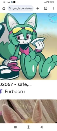 Sonar fennec feet 