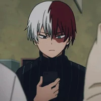 Shoto Todoroki 