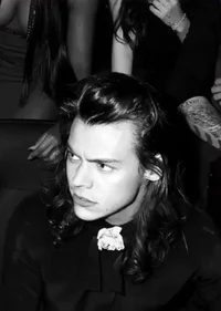 harry styles - mafia