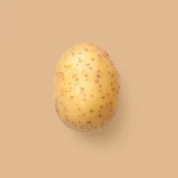 Bob