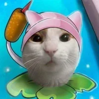 spamtongphamtombigsh