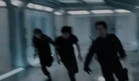 01 newt - tmr