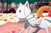 Kyubey