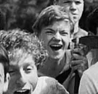 01 newt - tmr