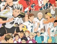 Haikyuu boys