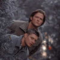 Winchesters