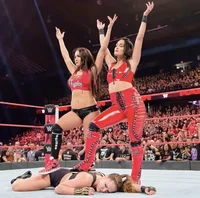The Bella Twins 
