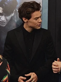 Harry Styles - Mafia