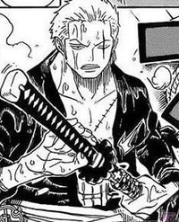 Zoro Roronoa