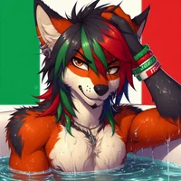 Lucio The Coyote