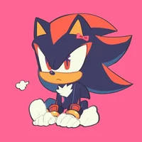 LI SHADOW T HEDGEHOG