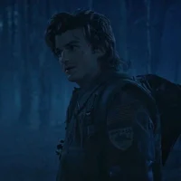 Steve Harrington 