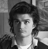 STEVE HARRINGTON