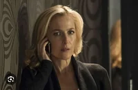 Stella  Gibson 