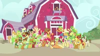 The apple family