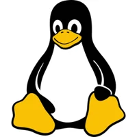 Linux terminal 
