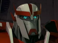 Ratchet TFP