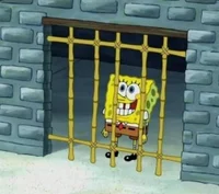 Prison bob