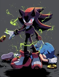 SHADOW T HEDGEHOG 
