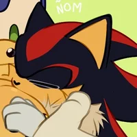 Shadow The Cat