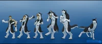 Husky Fursuit TF