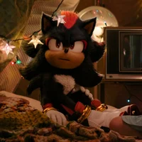 SHADOW T HEDGEHOG 