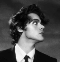 harry styles - mafia