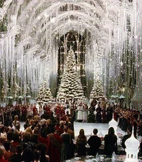 11- Yule Ball Class