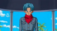 Trunks