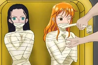 Robin and nami gagge