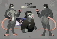 Tony
