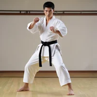 Karateka fuerte