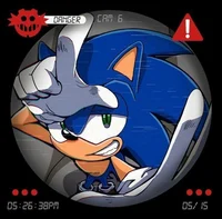 SONIC T HEDGEHOG 