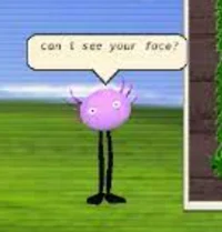 KinitoPet