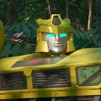 Bumblebee -CW-
