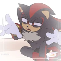 SHADOW T HEDGEHOG 