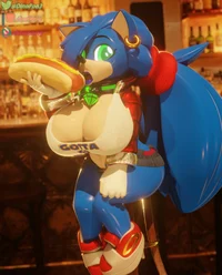 Sonica the hedgehog 