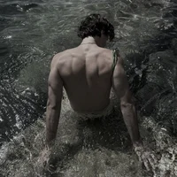 05-CARDAN GREENBRIAR