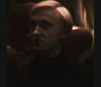DRACO L MALFOY
