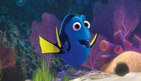 Dory