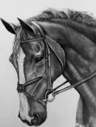 Danganronpa horse au