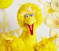 Big Bird