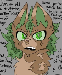 Warrior Cat- Izuku M