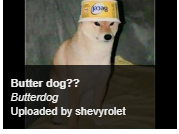 tehgoobiestgoober