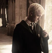 draco