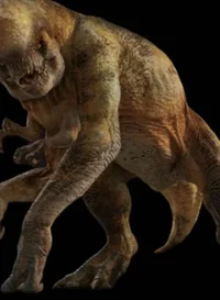 D Rex 